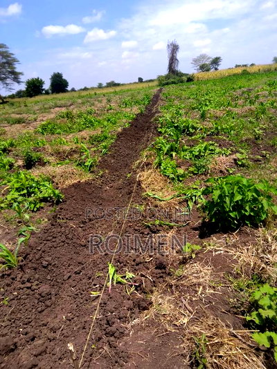 2 Acres With a Borehole. - Image 4