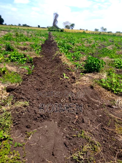 2 Acres With a Borehole. - Image 2