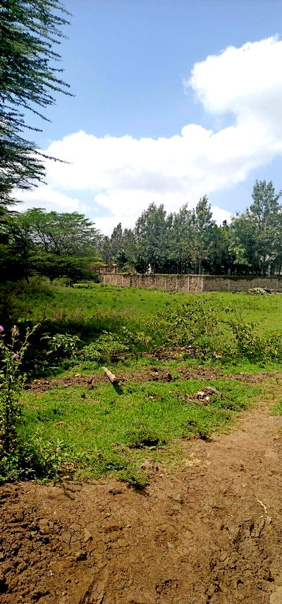 1.1 Acre Garden Office Space