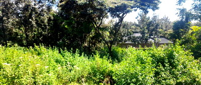 1/8 Acre Ngong Plot at KSh 6M