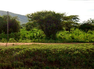 100-Acre Land with Garden & Parking