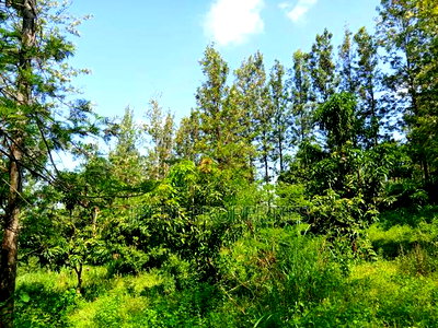 Flat Land on Sale - Image 1