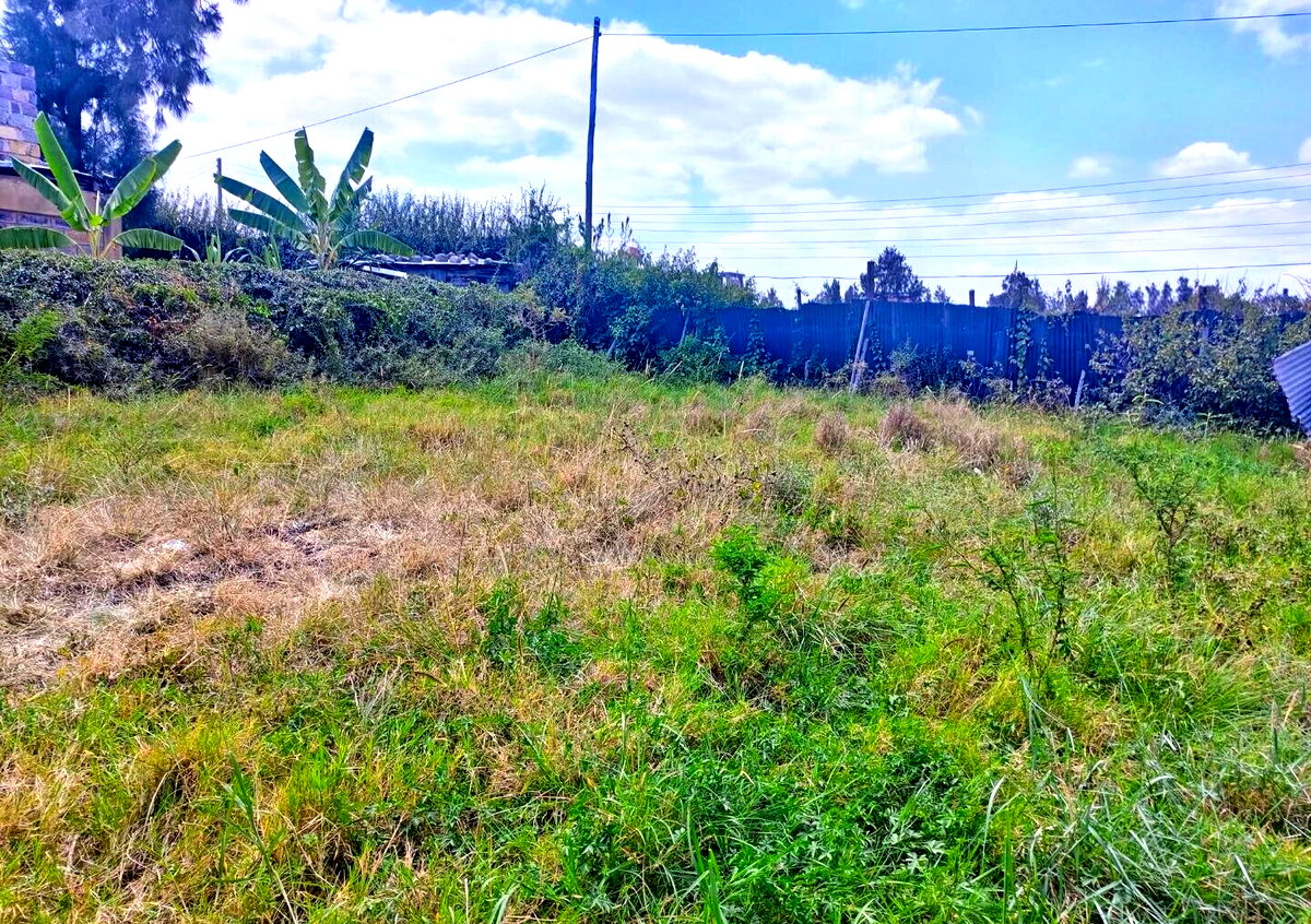 KSh 5M Syokimau Plot
