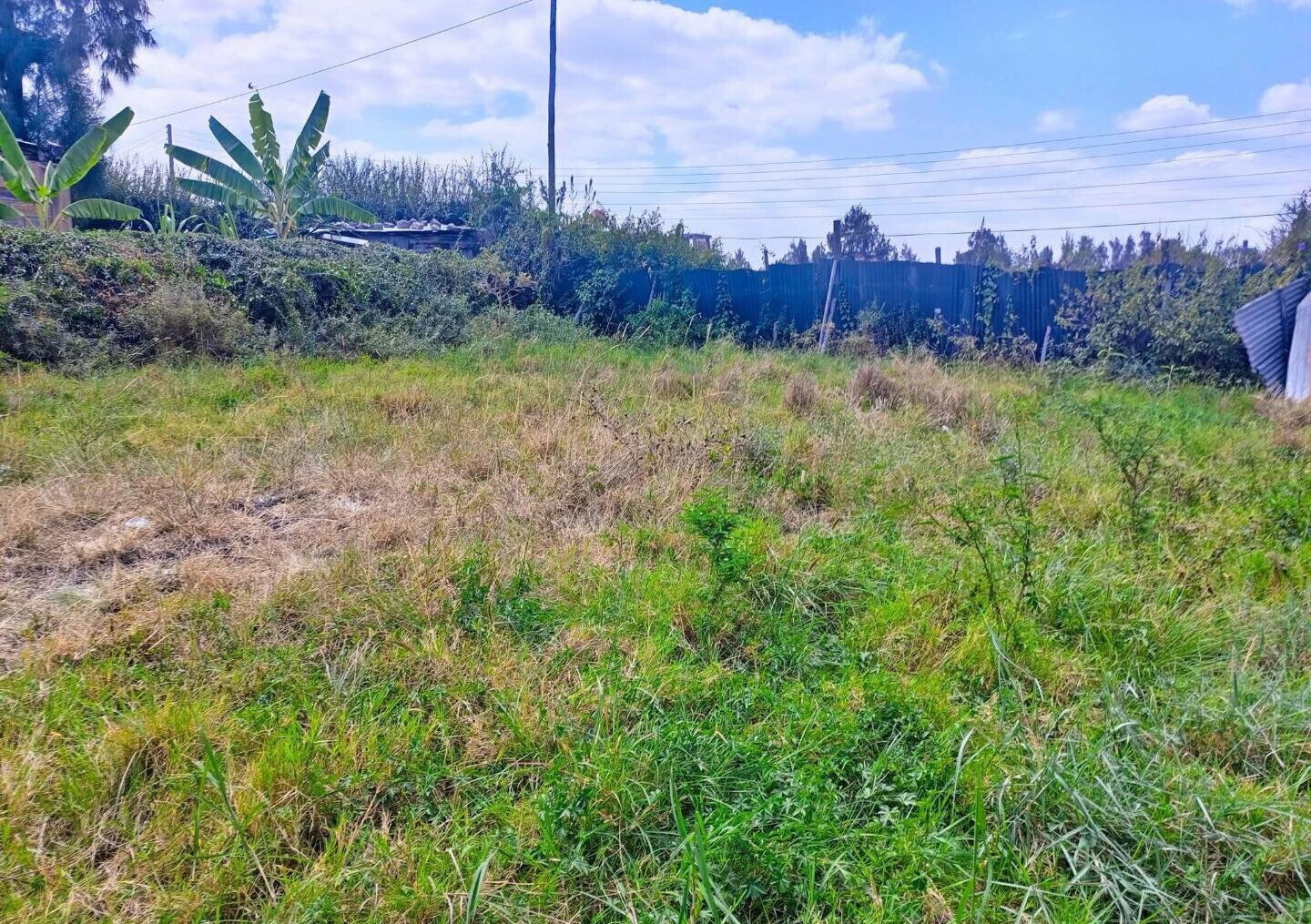 KSh 5M Syokimau Plot