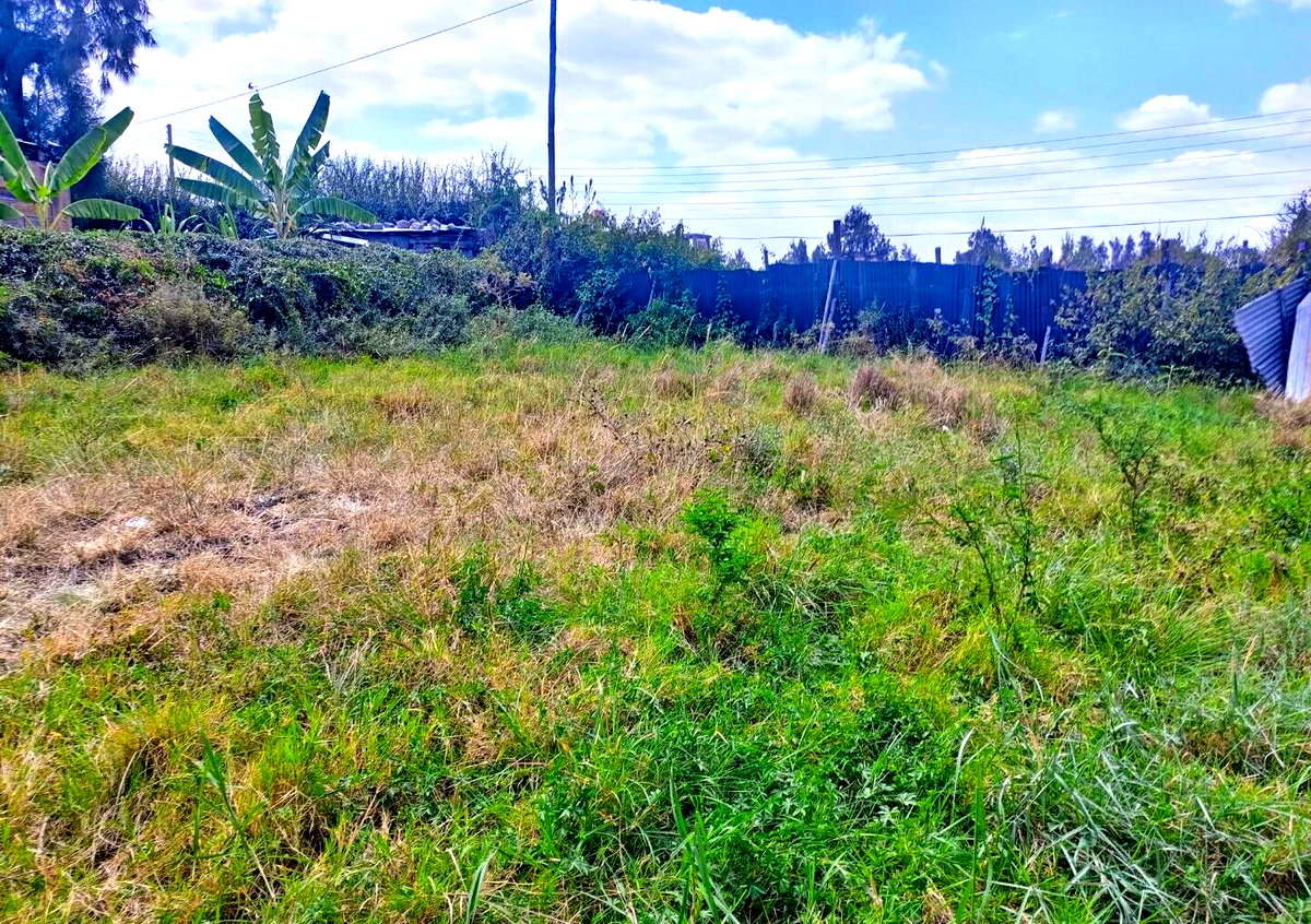 KSh 5M Syokimau Plot