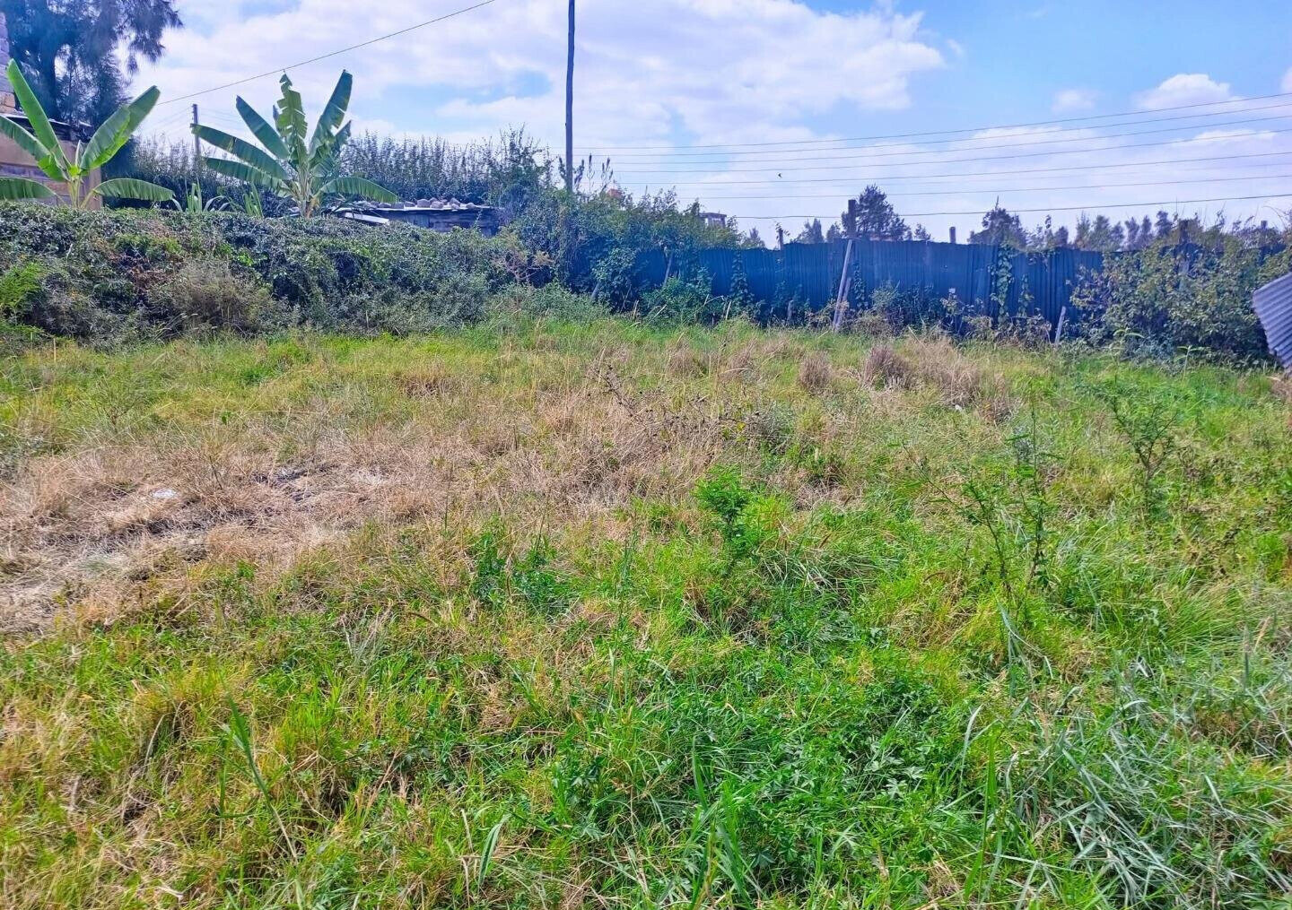 KSh 5M Syokimau Plot