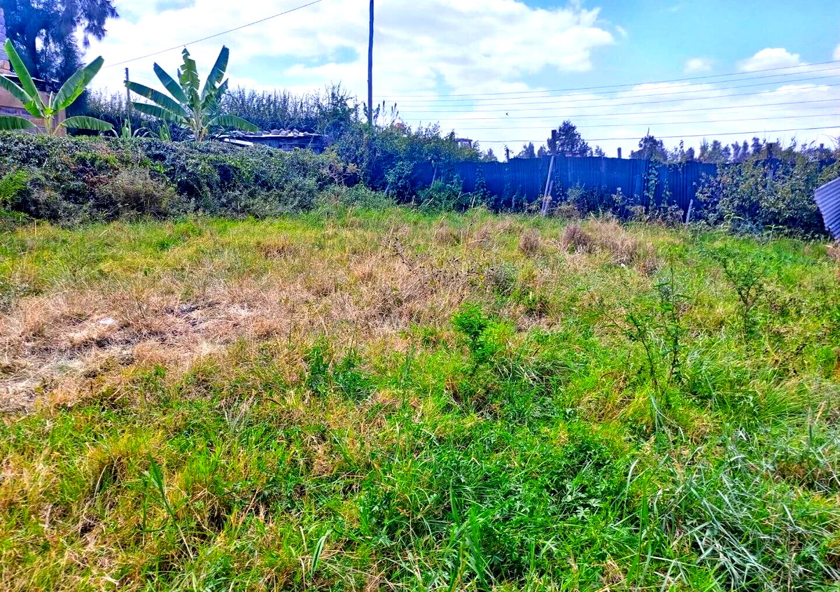 KSh 5M Syokimau Plot