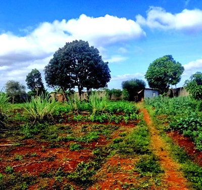 Half Acre in Runda at KSh 45M