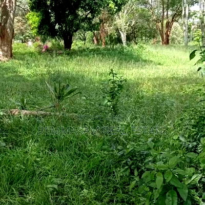 9 Acres for Sale at Karen Hardy - Image 2