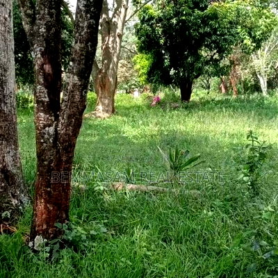 9 Acres for Sale at Karen Hardy - Image 5