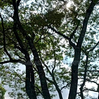 9 Acres for Sale at Karen Hardy - Image 1