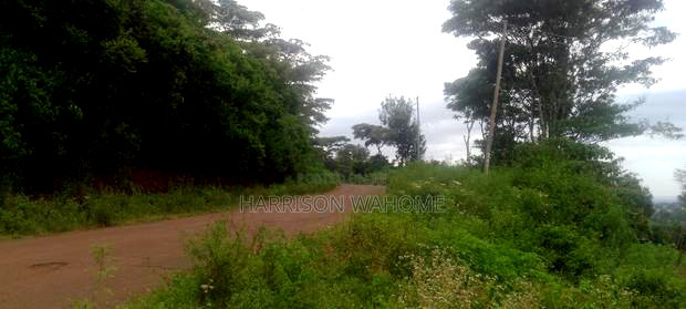 Sale:Quarter Acre Touching Tarmarc Along St. Patrick's Road