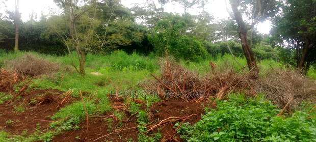 Sale:Quarter Acre Touching Tarmarc Along St. Patrick's Road