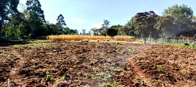 3 Acres for Sale in Ngong, Kahara Road. - Image 1