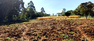 3 Acres for Sale in Ngong, Kahara Road. - Image 2