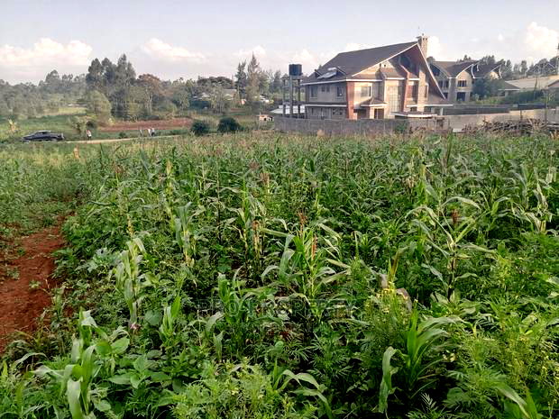 Prime Half Acre Plot for Sale in Kikuyu, Ondiri.