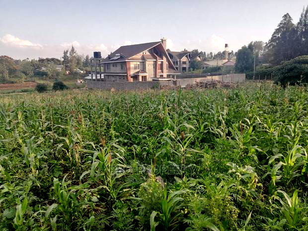Prime Half Acre Plot for Sale in Kikuyu, Ondiri.