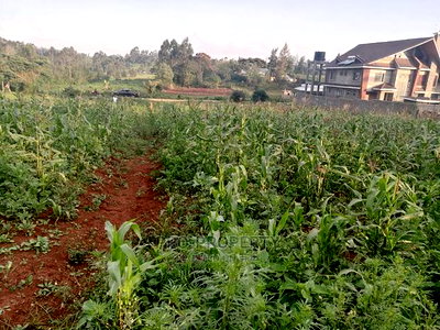Prime Half Acre Plot for Sale in Kikuyu, Ondiri. - Image 8
