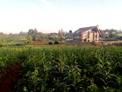 Prime Half Acre Plot for Sale in Kikuyu, Ondiri. - Image 10