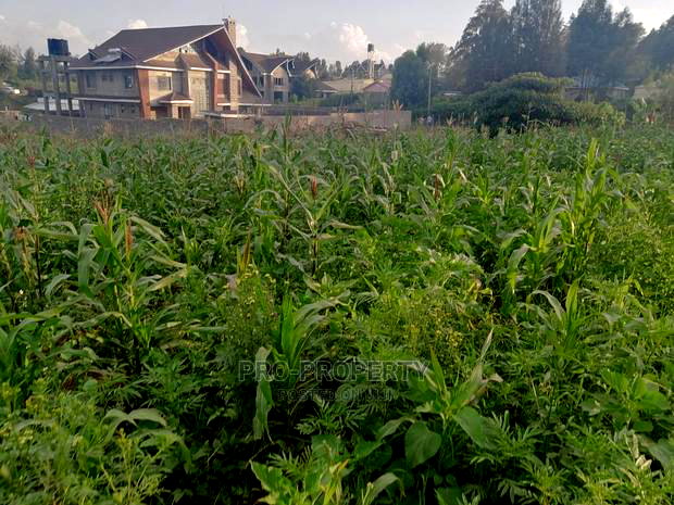 Prime Half Acre Plot for Sale in Kikuyu, Ondiri.