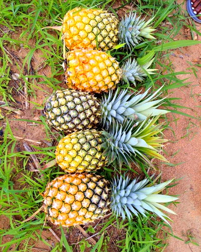 1 Acre Garden Plot at KSh 350K