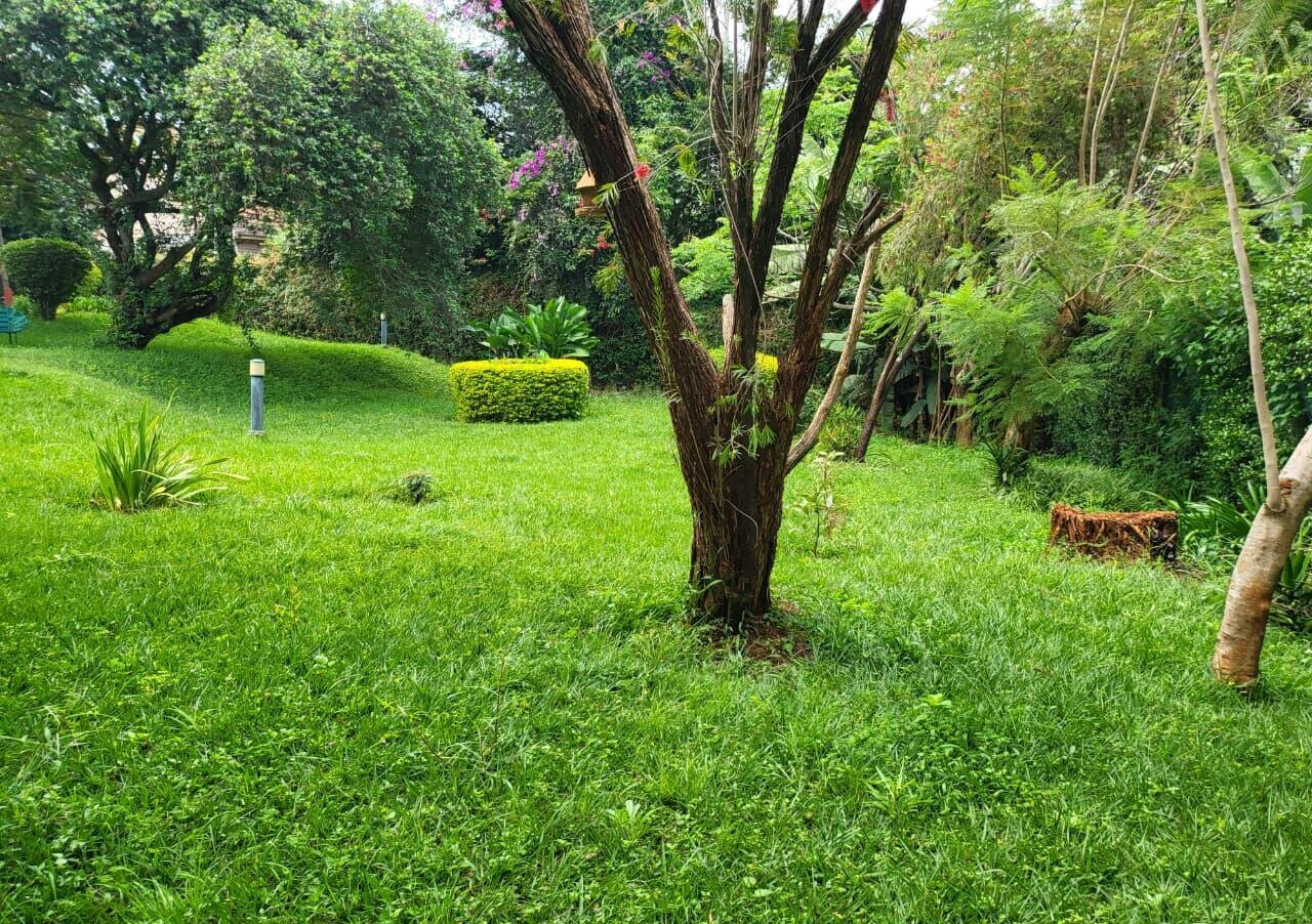 5BR Garden Home for KSh 350K