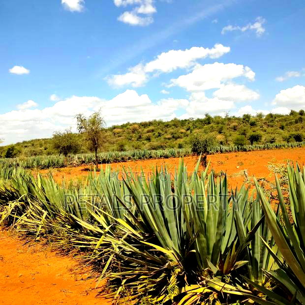 30 Acres for Sale in Mogotio