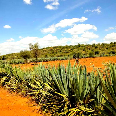 30 Acres for Sale in Mogotio - Image 1