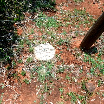 2 Acres Parcel for Sale 600 Metres From Kimuka Centre - Image 3
