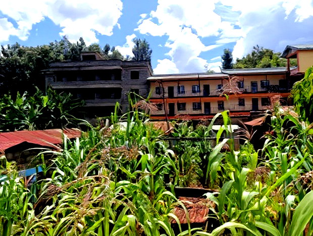 Prime Plot for Sale in Ruaka, Muchatha (With Income)