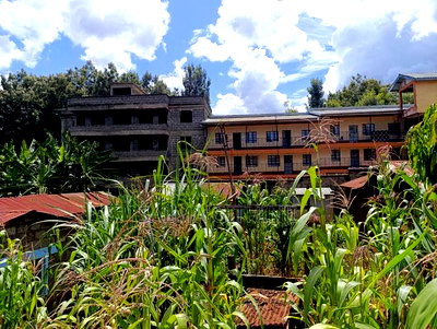 Prime Plot for Sale in Ruaka, Muchatha (With Income) - Image 4