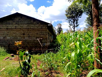 Prime Plot for Sale in Ruaka, Muchatha (With Income) - Image 8