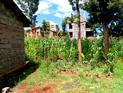 Prime Plot for Sale in Ruaka, Muchatha (With Income) - Image 10
