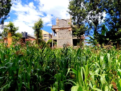 Prime Plot for Sale in Ruaka, Muchatha (With Income) - Image 9