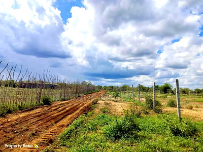 Chakama-Malindi Plots for Sale - Image 2