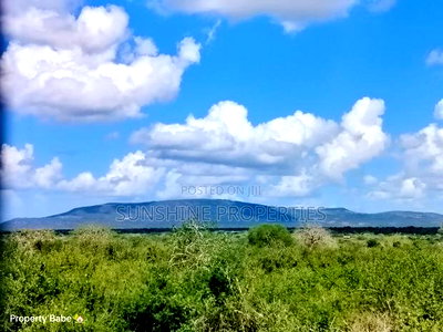 Chakama-Malindi Plots for Sale - Image 7
