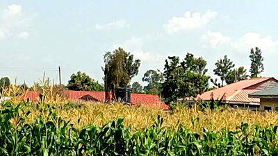 Bungoma Plots for Sale - Image 3