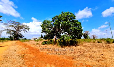Half Acre for Sale in Garden Estate Malindi - Image 6