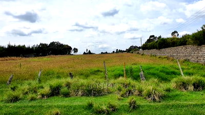 Prime 3 Acres Next to Elmer Resort Spa Naivasha - Image 11