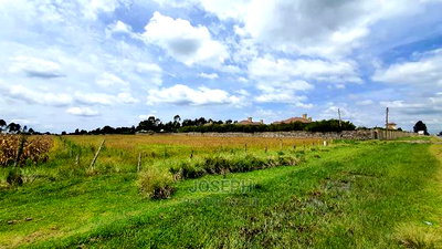 Prime 3 Acres Next to Elmer Resort Spa Naivasha - Image 7