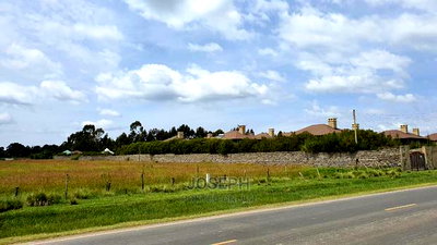 Prime 3 Acres Next to Elmer Resort Spa Naivasha - Image 4