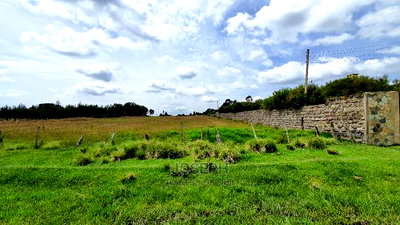 Prime 3 Acres Next to Elmer Resort Spa Naivasha - Image 8
