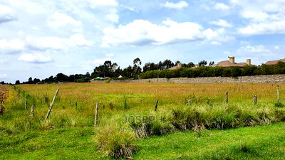 Prime 3 Acres Next to Elmer Resort Spa Naivasha - Image 9