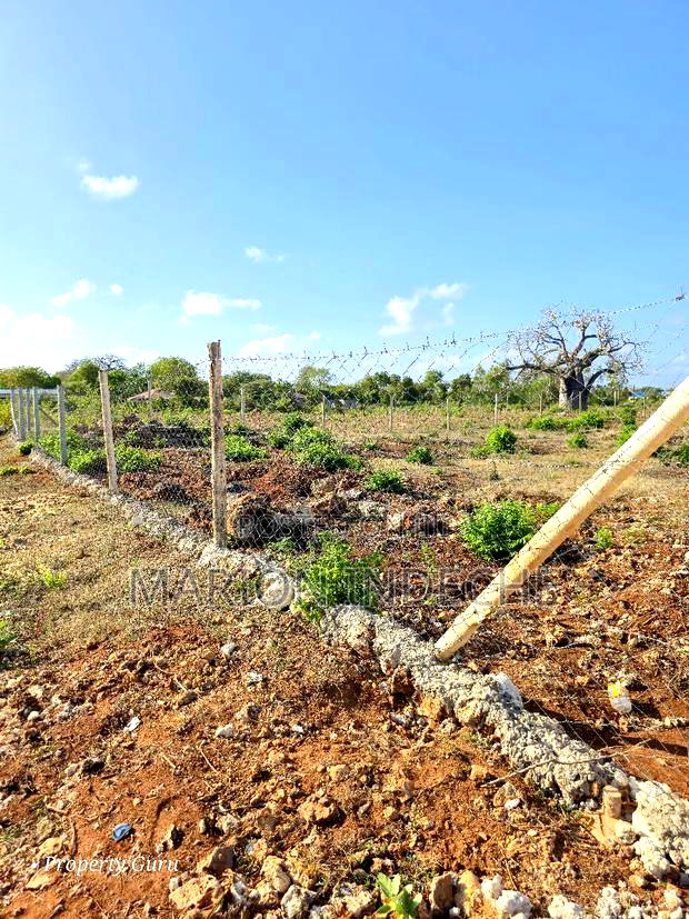 Prime 50by100ft Plots for Sale in Kilifi Bofa B69