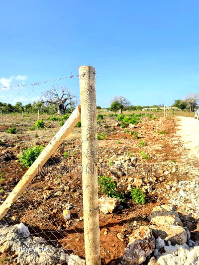 Prime 50by100ft Plots for Sale in Kilifi Bofa B69 - Image 7