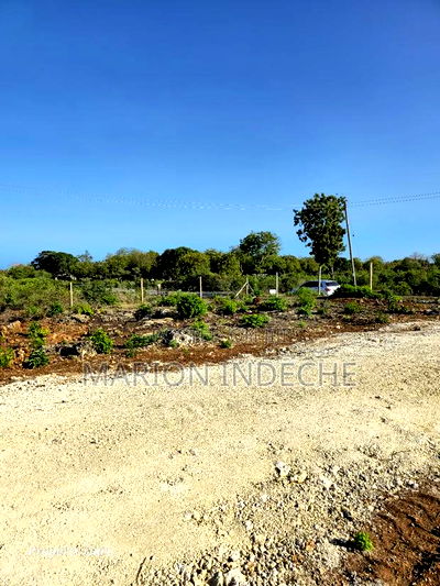 Prime 50by100ft Plots for Sale in Kilifi Bofa B69 - Image 8