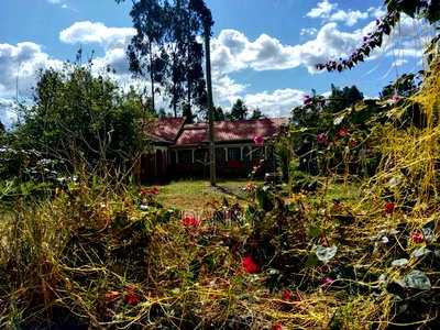 5bdrm Bungalow in Kabati, Kimorori/Wempa for sale - Image 4