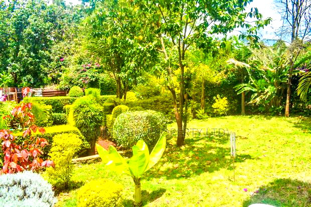 1/4 Acre Commercial Plot for Sale in Kinoo 87.