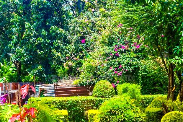 1/4 Acre Commercial Plot for Sale in Kinoo 87.