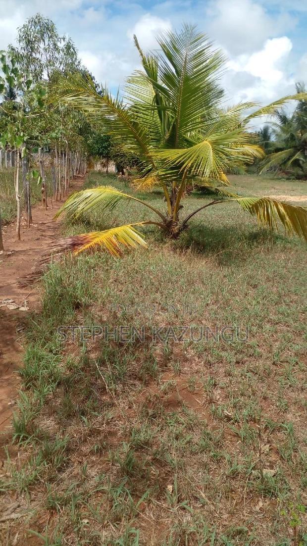 1/2 Acre Treasure Plot on Sale Opposite Marianist College.